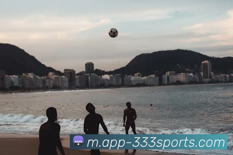 多媒体互动体验