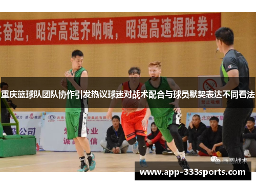 重庆篮球队团队协作引发热议球迷对战术配合与球员默契表达不同看法
