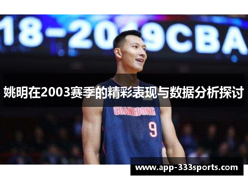 姚明在2003赛季的精彩表现与数据分析探讨
